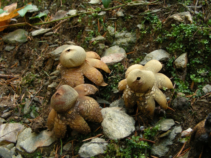 Escursione in riva al lago